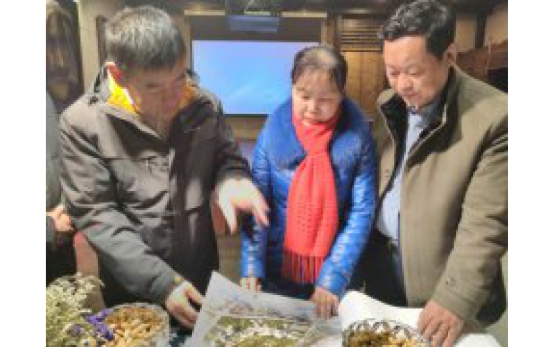 烏魯木齊副市長(cháng)趙黎在我集團調研